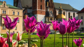 Отель Designomania Apartments - Nadwiślańska 11  Краков